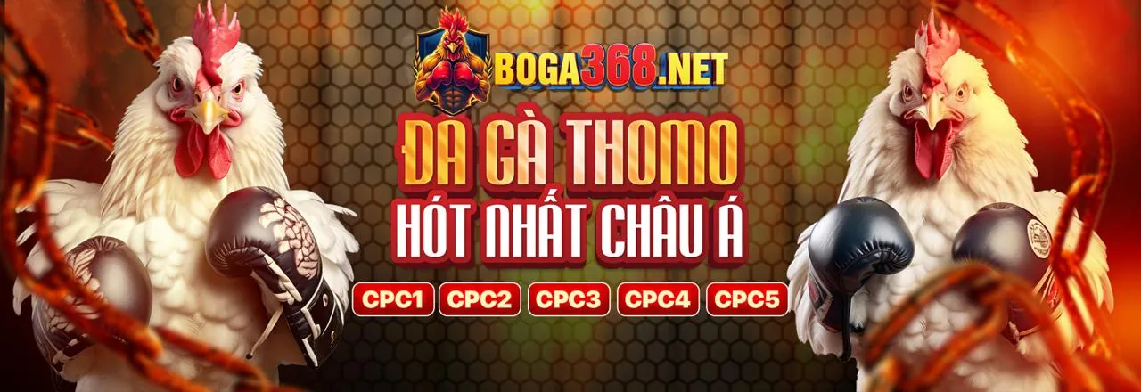 Đá Gà Thomo BLV 2026 – Sân Chơi Cá Cược Trực Tuyến Hàng Đầu Việt Nam