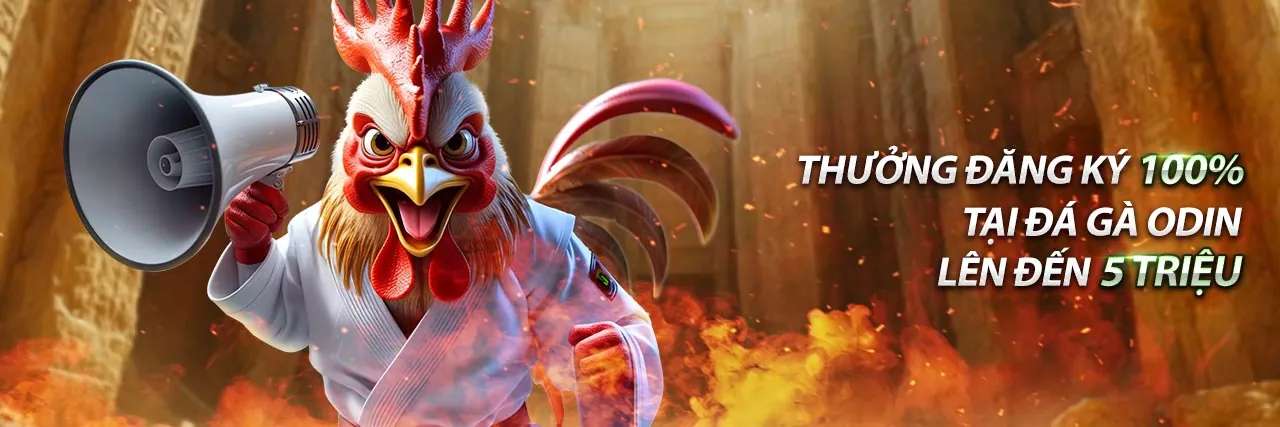 Ưu đãi chào mừng thành viên mới Đá gà Thomo BLV